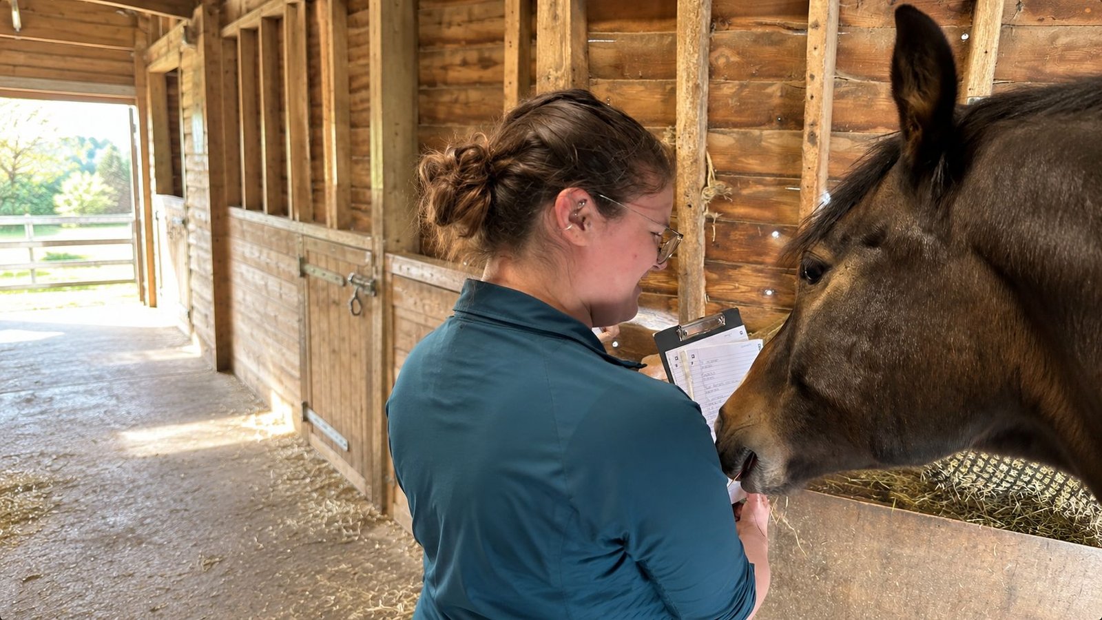 Beth making notes during an assessment, with a bay horse at the stable door