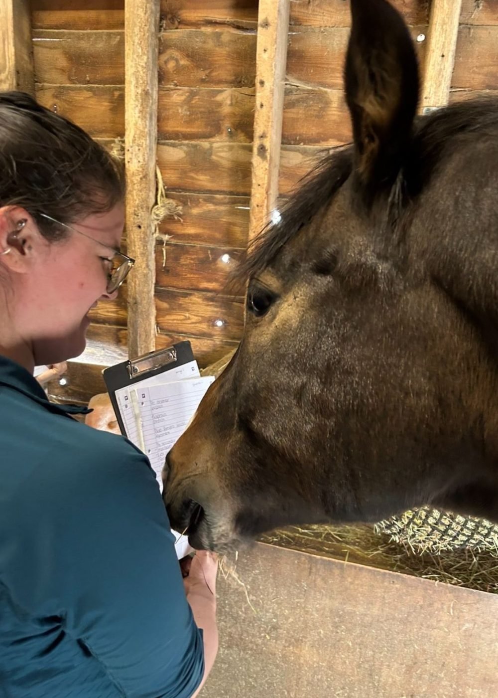Beth making notes during an assessment, with a bay horse at the stable door