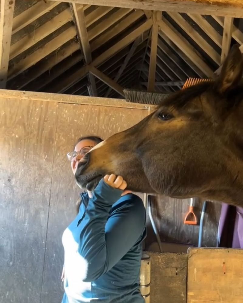 Beth with Frank, a bay cob, in his stable