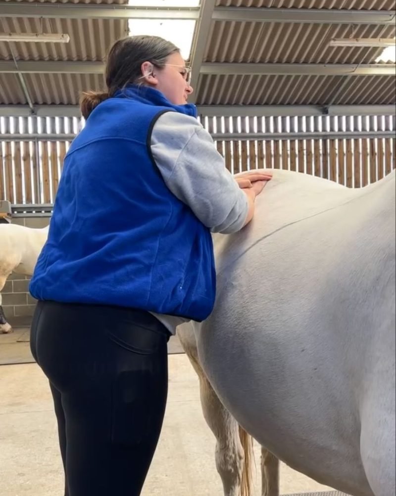 Beth massaging a grey horse's shoulder in a barn