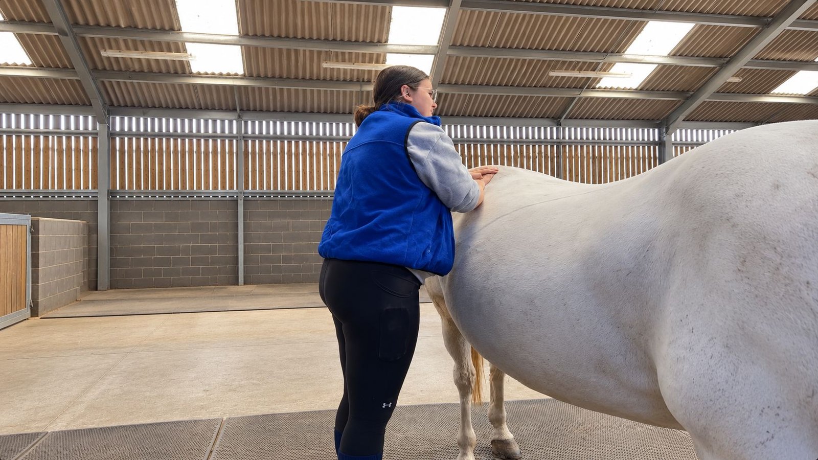 Beth massaging a grey horse in a barn